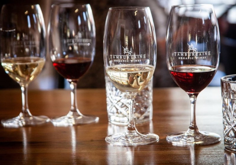 Unforgettable Culinary Journeys Through Australia’s Wine Regions