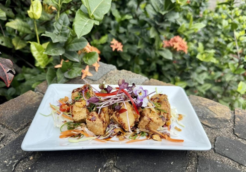 Restaurants That Cater to Every Mood: A Culinary Journey