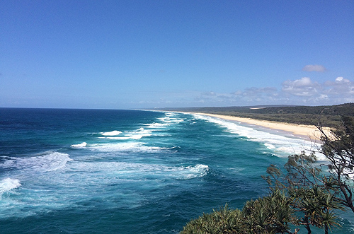 Straddie's Whale Highway 2