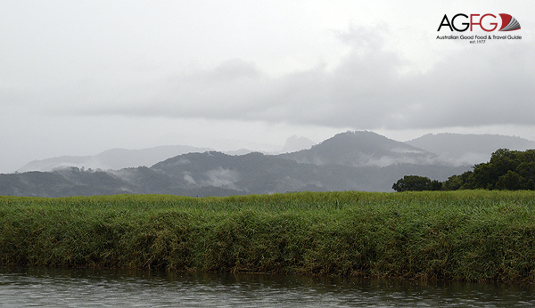 Adventures in Nature: A Day Trip to Tumbulgum 2