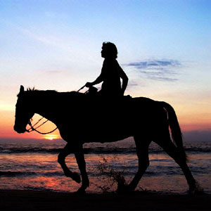 Horse Riding in Australia