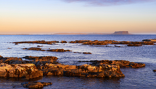 Book Review: Tasmania's Cradle Coast Pantry  2