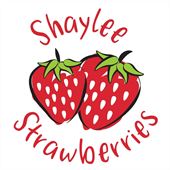 Shaylee Strawberries