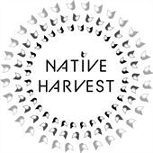 Native Harvest