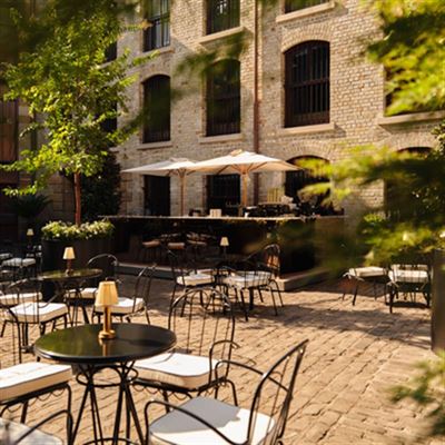 The Garden, The Rocks
