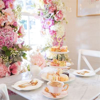 The Cupcake Co.