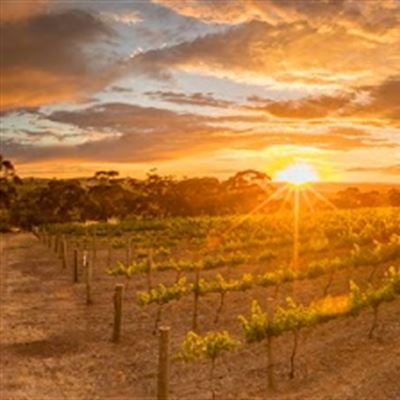 Velvet & Willow Wines - Cellar Door, Cafe and Pantry