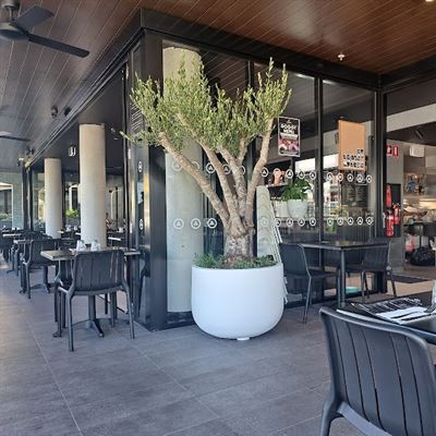 Andonis Cafe & Bar, Manly