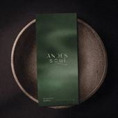 148731/logo-170.jpg ANDES SOUL
