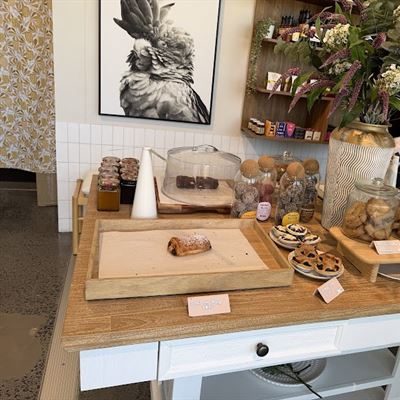 Figtree Social