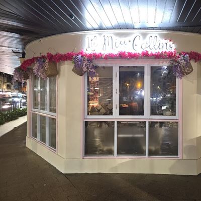 Lil Miss Collins Crows Nest