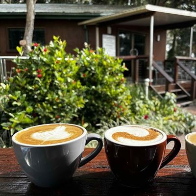 Your Daily Medicine Cafe