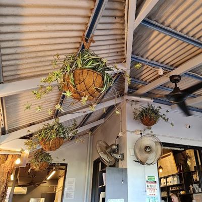 Espresso & Co Cafe Palm Cove