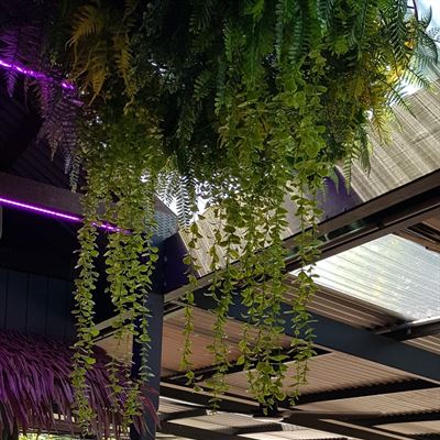 Coral Bar & Bistro