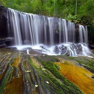 Brisbane Water National Park