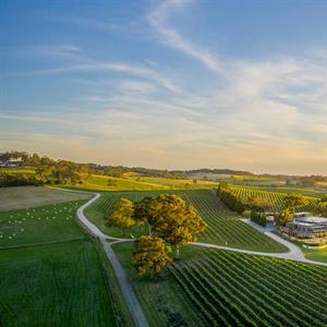 The Lane Vineyard