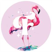 Flamingos Live