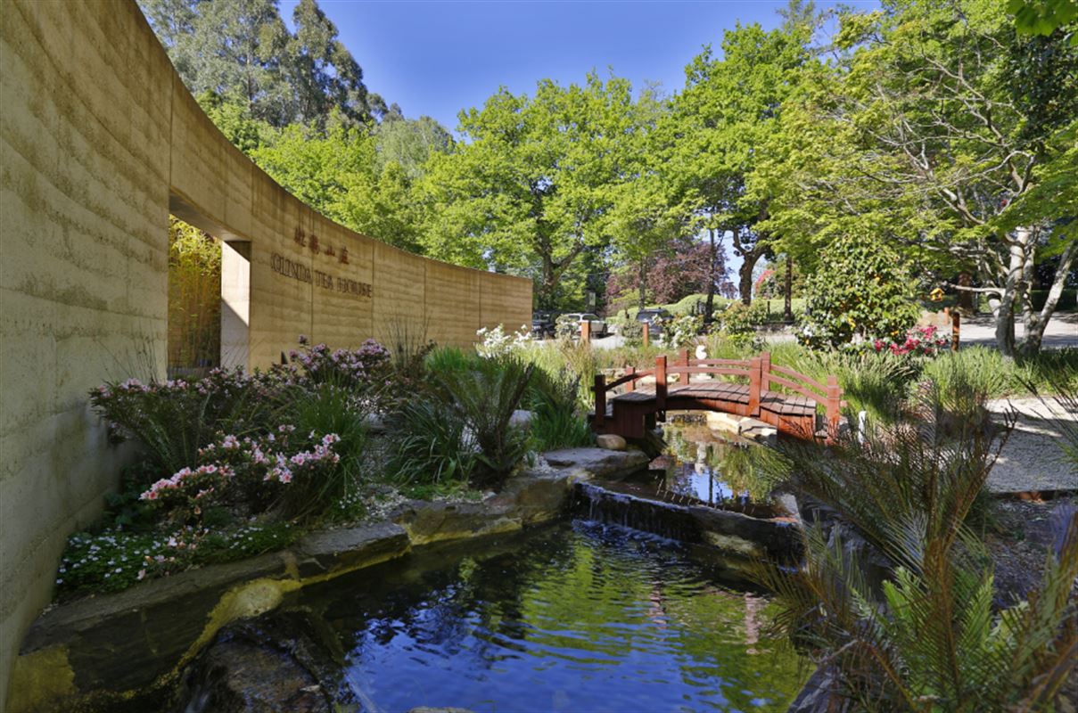 Olinda Tea House, Olinda Asian Restaurant Menu, Phone, Reviews AGFG