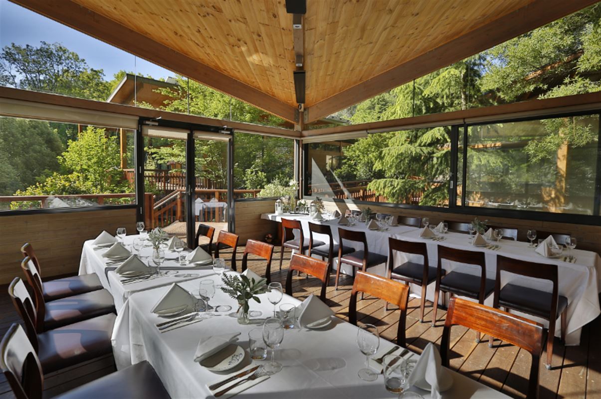 Olinda Tea House, Olinda Asian Restaurant Menu, Phone, Reviews AGFG