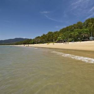 On Palm Cove