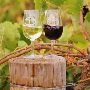 Angas Plains Estate Wines
