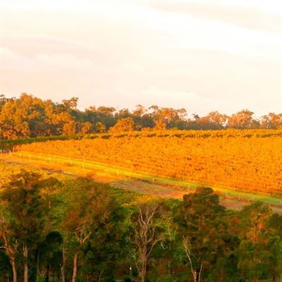 The 20 Best Southwest and Margaret River,WA Wineries, Wineries in ...