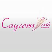 Caysorn Thai Restaurant