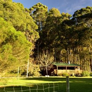 Diamond Forest Cottages Farmstay
