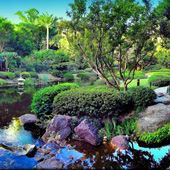 35114/logo-170.jpg Brisbane Botanic Gardens