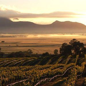 Wine Tours in the Grampians & The Pyrenees
