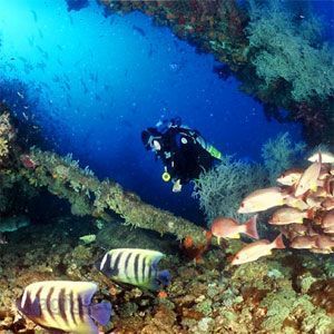 Wheeler Reef Dive Site
