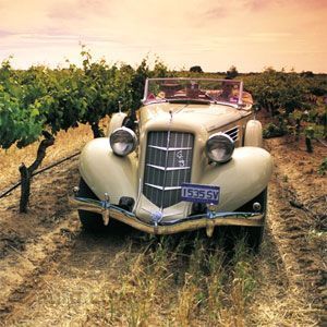 Driving Tours in the Adelaide Hills