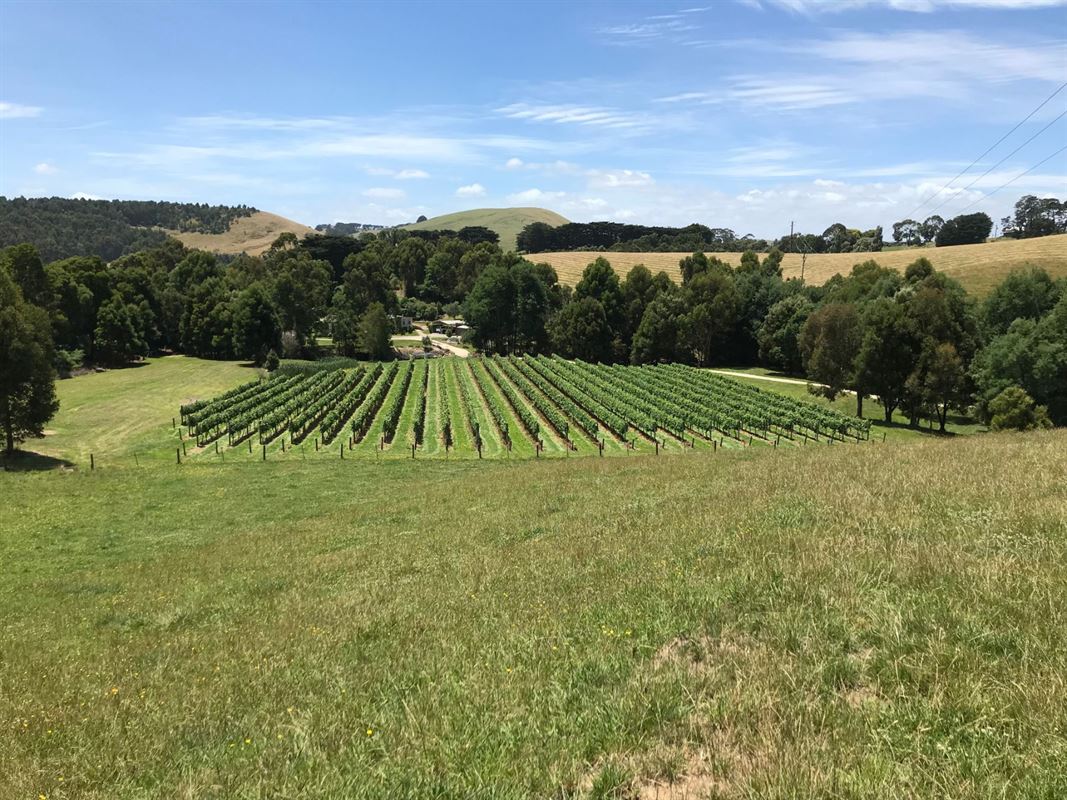 Gippsland Wine Company, Loch Reviews, Phone, Bookings AGFG