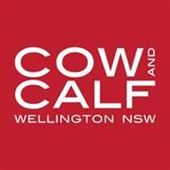 36607/logo-170.jpg Cow and Calf Hotel