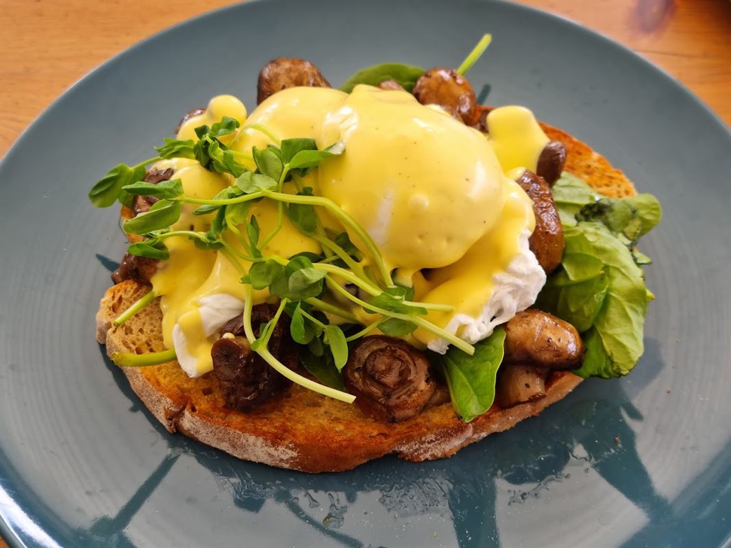 Sea Salt & Vine Cafe, Scarborough Cafe Restaurant Menu, Phone