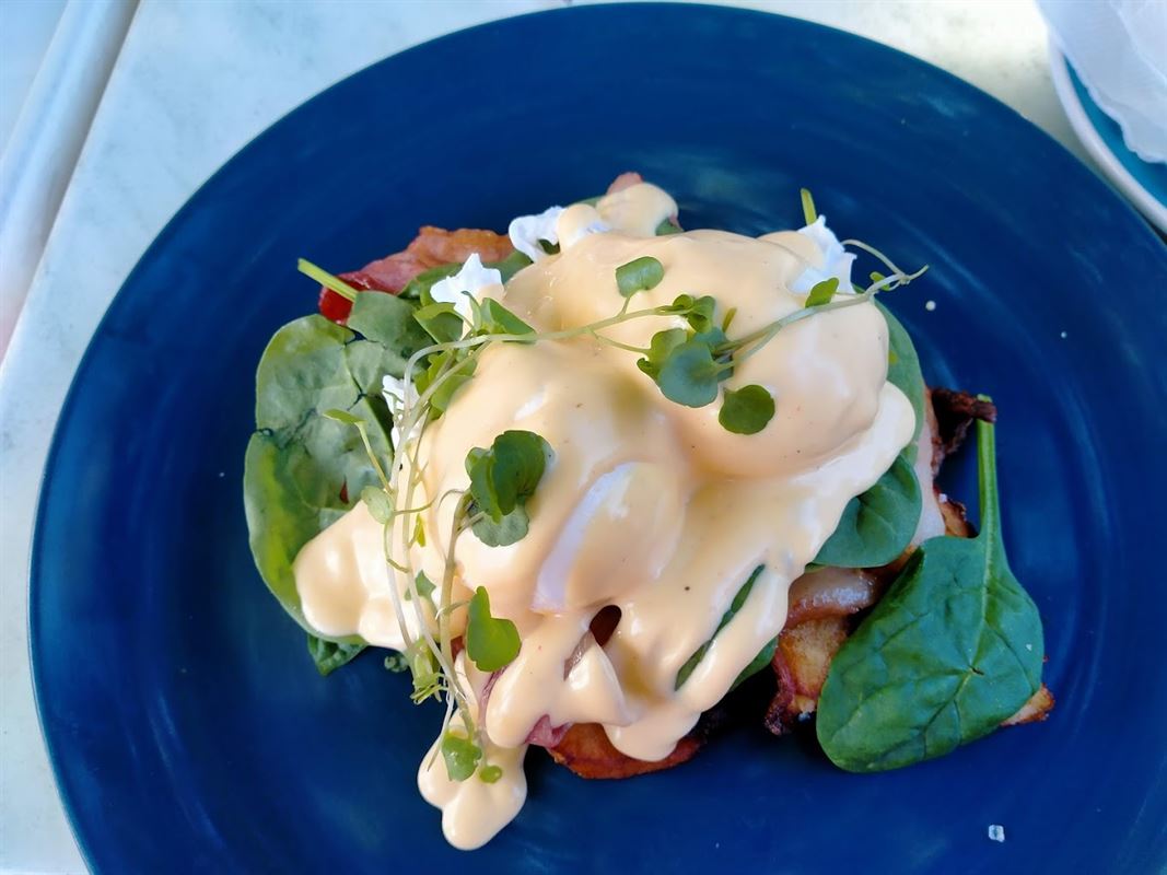 Sea Salt & Vine Cafe, Scarborough Cafe Restaurant Menu, Phone