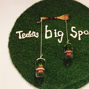 Teddis Big Spoon