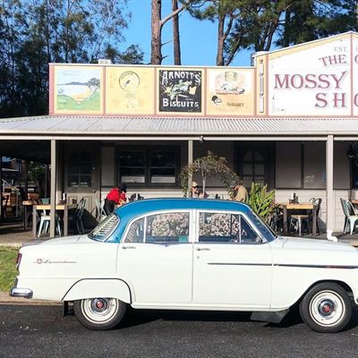 The Mossy Cafe