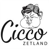 46515/logo-170.jpg Cicco Zetland