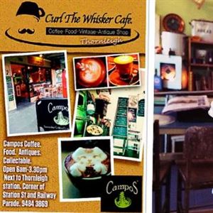 Curl the Whisker Cafe
