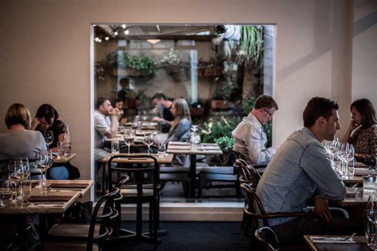 The Herring Room, Manly Seafood Restaurant Menu, Phone, Reviews AGFG