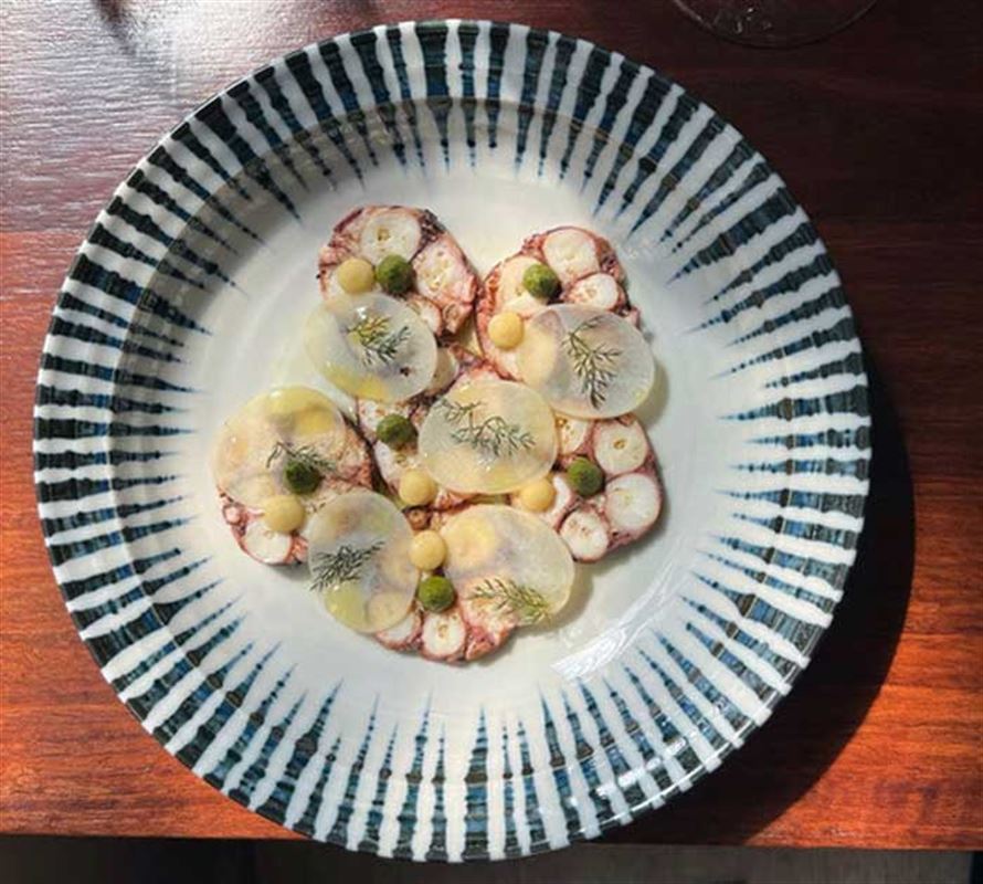 The Herring Room, Manly Seafood Restaurant Menu, Phone, Reviews AGFG