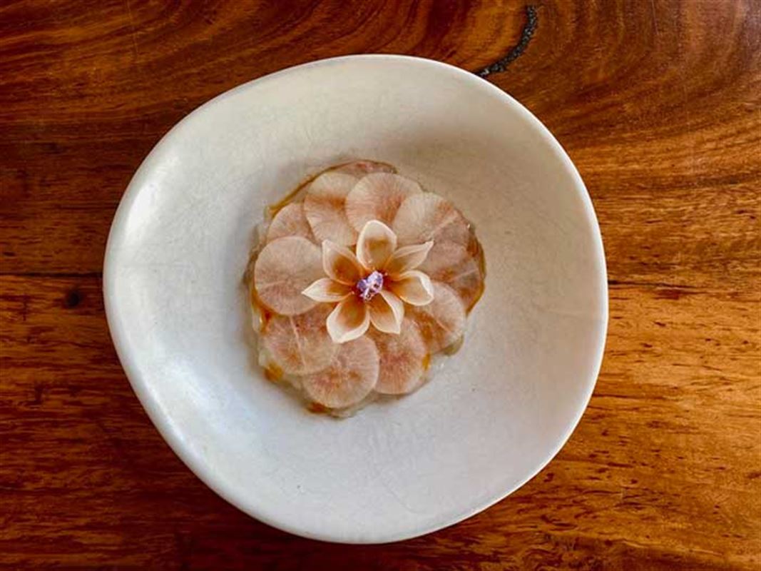 The Herring Room, Manly Seafood Restaurant Menu, Phone, Reviews AGFG