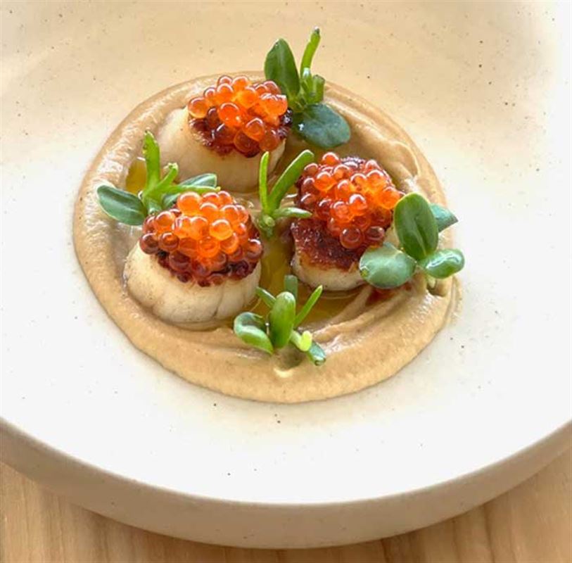 The Herring Room, Manly Seafood Restaurant Menu, Phone, Reviews AGFG