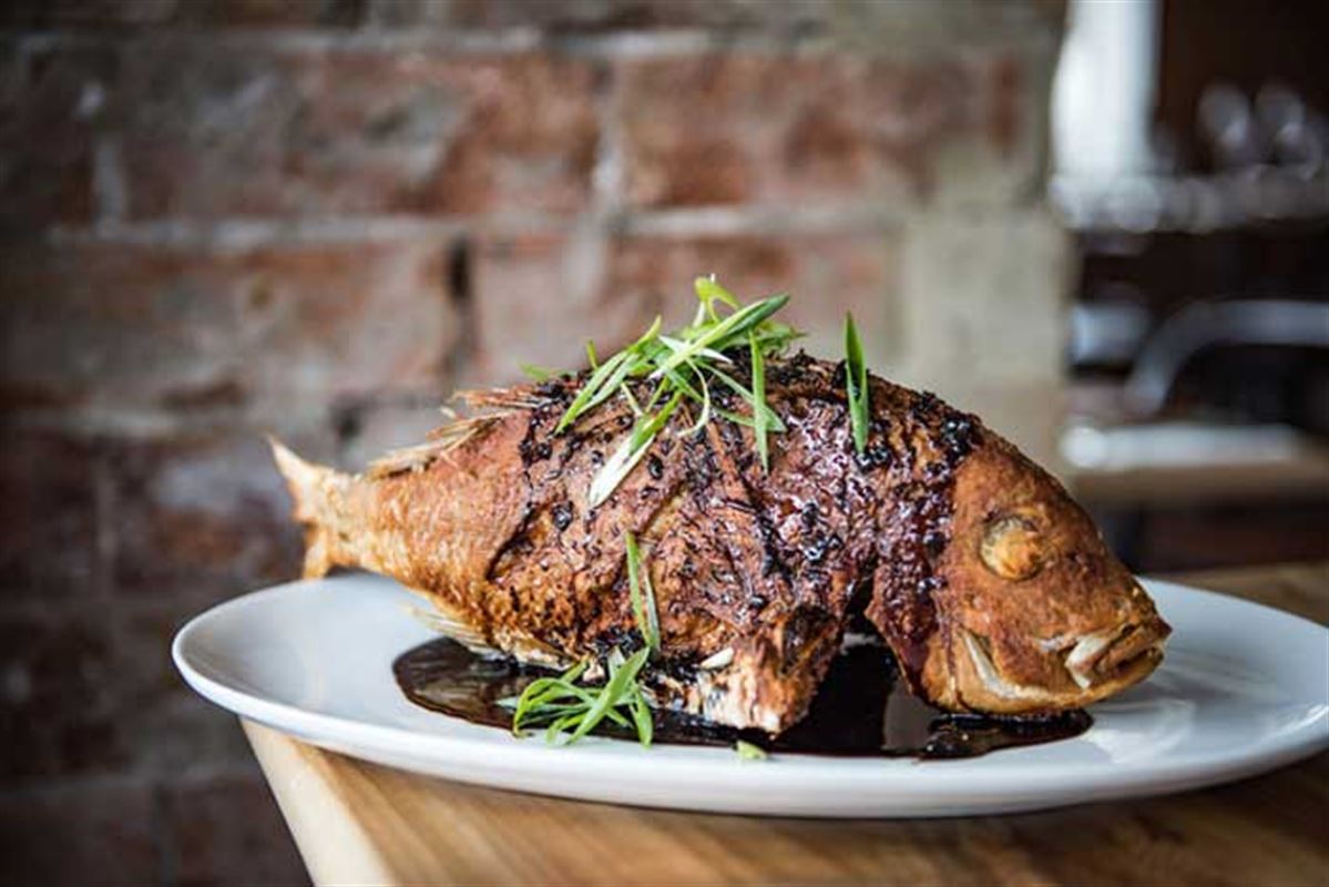 The Herring Room, Manly Seafood Restaurant Menu, Phone, Reviews AGFG