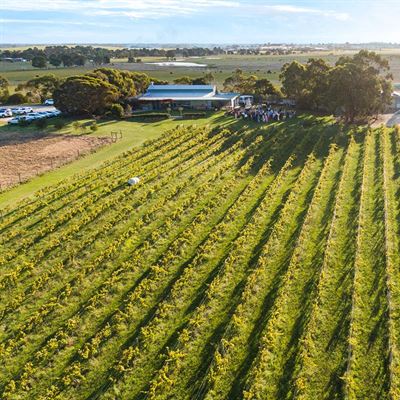 The Vines on Avon