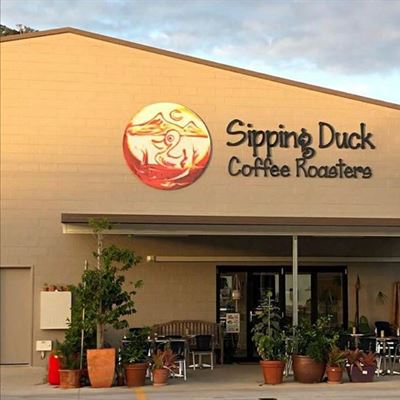 Sipping Duck Coffee