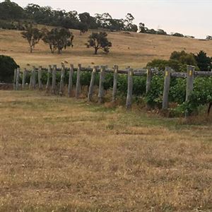 Guildford Winery