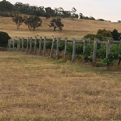 Guildford Winery