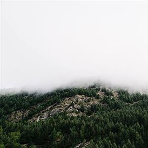 58970/hero-300.jpg Higher Ground